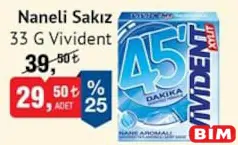 VİVİDENT NANELİ SAKIZ 33 G